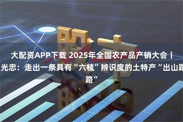 大配资APP下载 2025年全国农产品产销大会丨夏光忠：走出一条具有“六枝”辨识度的土特产“出山路”
