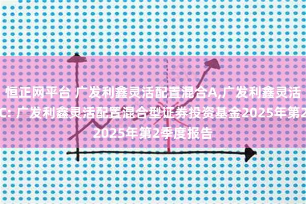 恒正网平台 广发利鑫灵活配置混合A,广发利鑫灵活配置混合C: 广发利鑫灵活配置混合型证券投资基金2025年第2季度报告